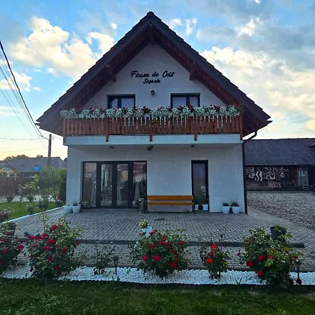 Floare de Colt Sapanta-2