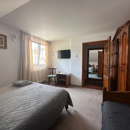 Pensiunea Casa Domniței Sucevița-3