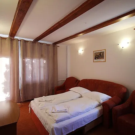 Pensiunea Casa Romantic-2