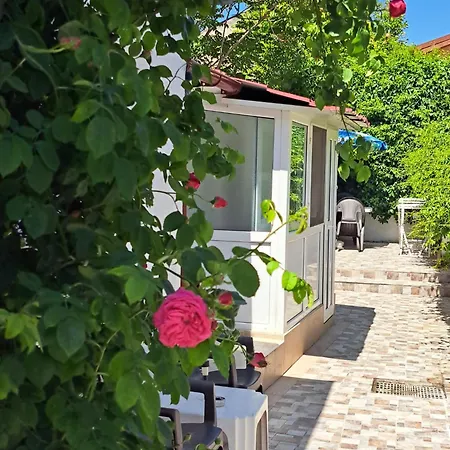 Yraida'S House Constanta-3