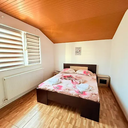 Vila Dragomir-2