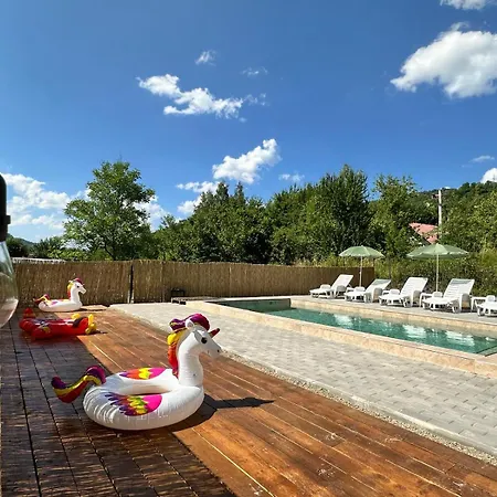 Guest House Carpathia-3