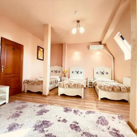 Leaganul Bucovinei Guest House-3