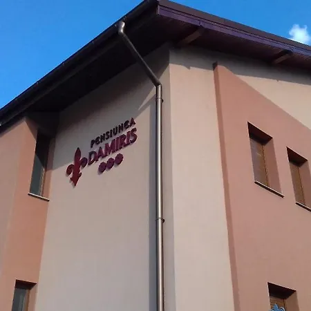 Pensiunea Damiris-2