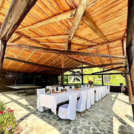 Vila Cretu Bran-3