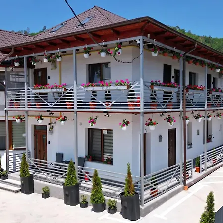 VAIAS Apartamente cu Terasa si Vedere Munte-2