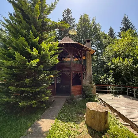 Cabane- Vila Crinul Si Teodor Poiana Brasov-2