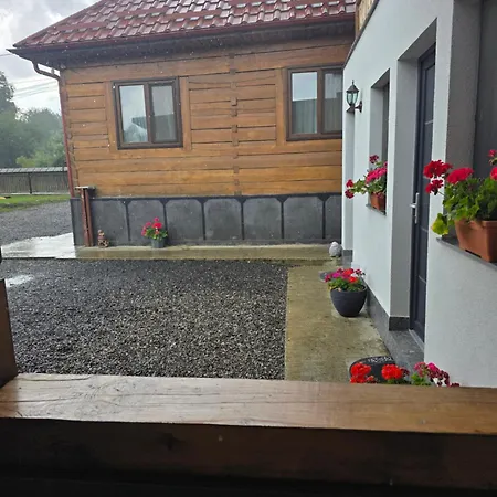 Casa de lângă pădure-3