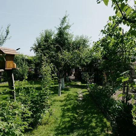Casa Vlad-2