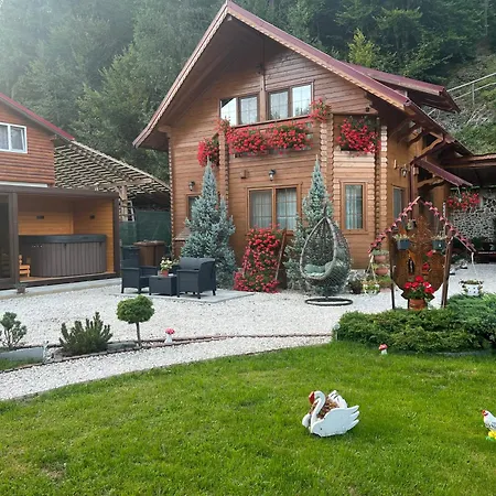 Pensiunea Gianina-2