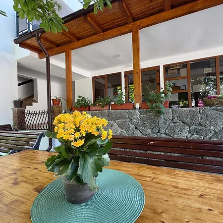 Hotel Camelia-2