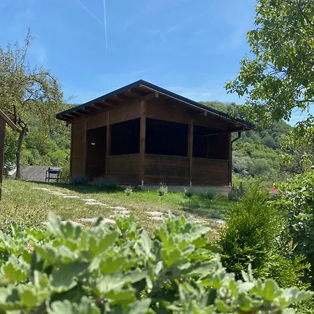 Bungalouri Olanesti-3
