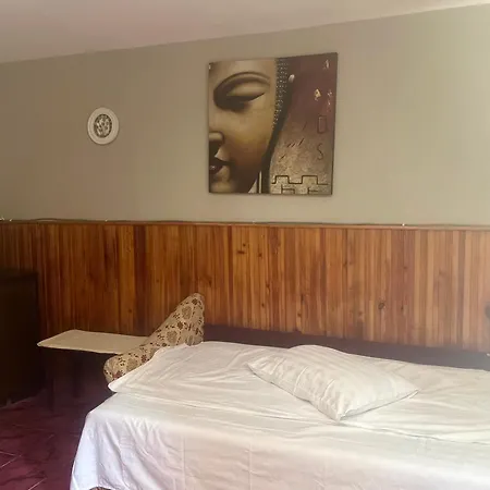 Chalet Azuga-3