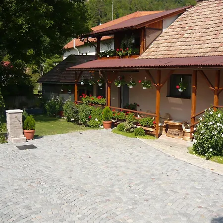 Casa De Oaspeti Liviu-3