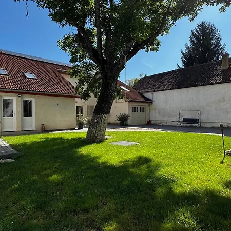 Casa de Oaspeți Vulcan-3