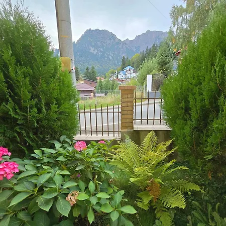 Pensiunea Valea Alba-3