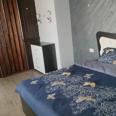 Carul cu Flori-3