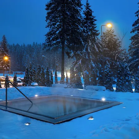 Ana Hotels Bradul Poiana Brasov-2
