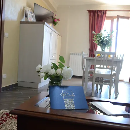 Apartamente Luxury Homes Ovidiu-3