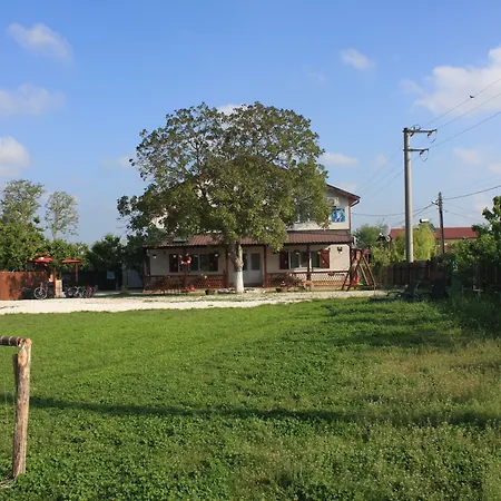 Bunica Maria-2
