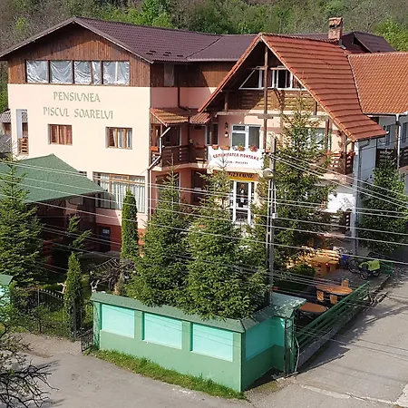 Pensiunea Agroturistică Piscul Soarelui-2