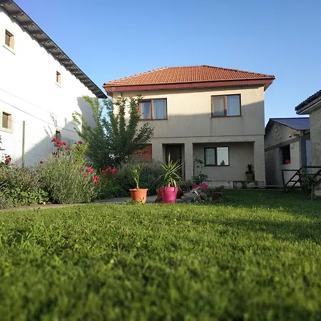 Casa Noastra-3