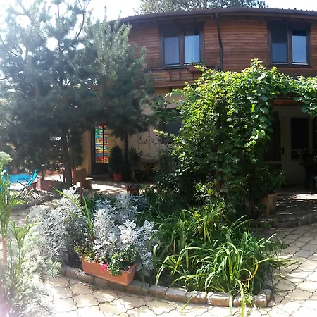 Casa Mica Guesthouse-3