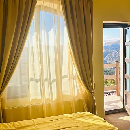 Pensiunea Casa Ancutei-2