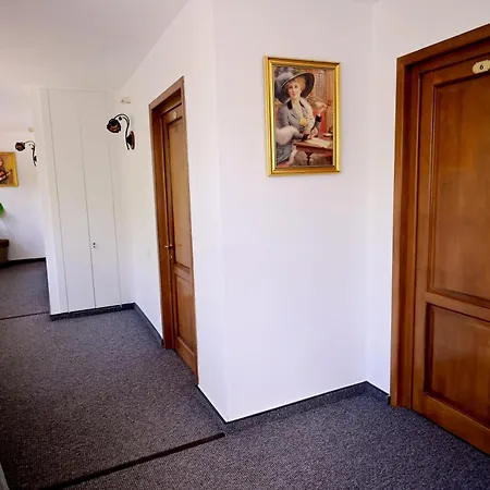 Pensiunea Casa Doamnei Voronet-2