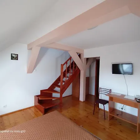 Casa Pleșca-2