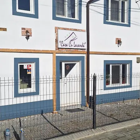 Casa Cu Lavandă-2