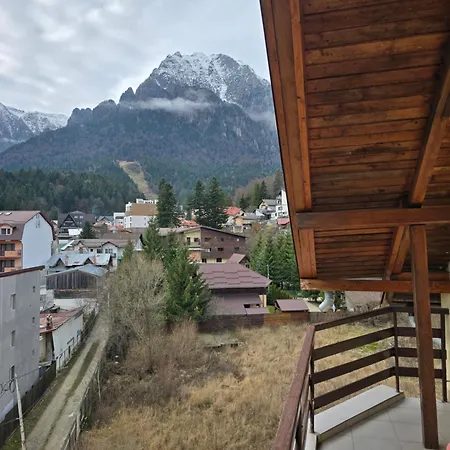 Pensiunea Valea Alba-2