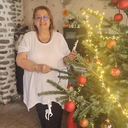 Pensiunea Ciobanelu-2