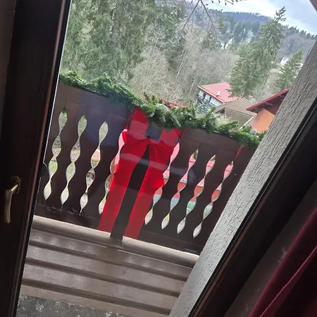 Platinvm B&B-3