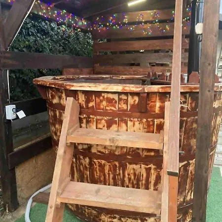 Casa Tomson, free parking, ciubăr, piscină în natura-3