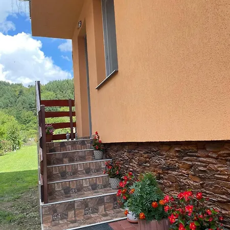 Casa de Oaspeti Cristian-2