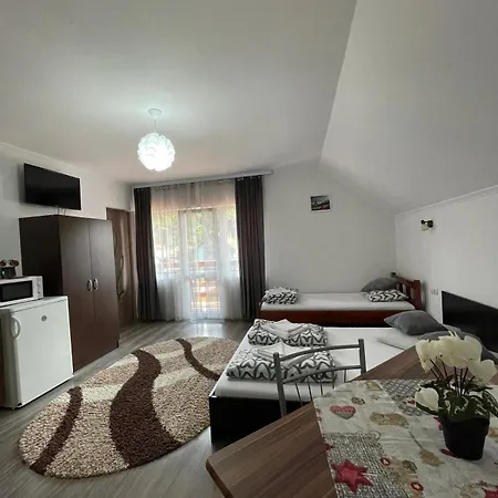 Casa de Oaspeti Cristian-3