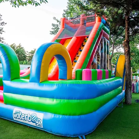Ibis Styles Venus-2