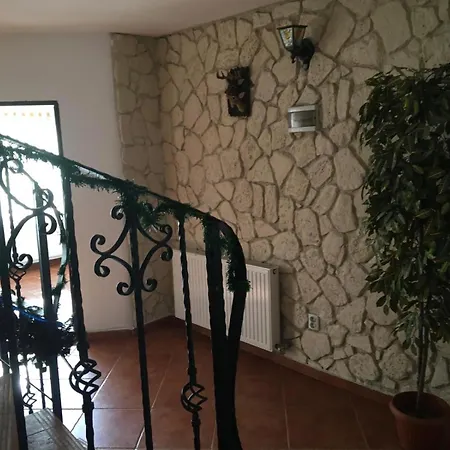 Vila Ianis Bran-2