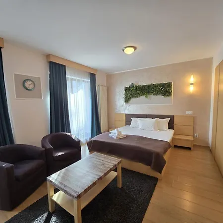 Decebal Residence Apartments-3