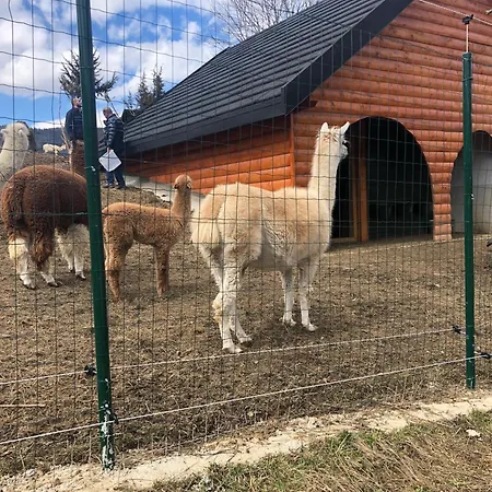 Domeniul Valea lupilor- Pensiunea Valea cu struti-3