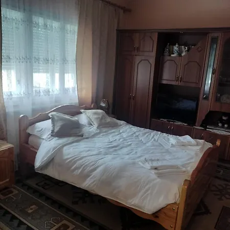 Casa Tudor-Nicolae-2