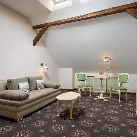 Hotel Leul de Aur-2