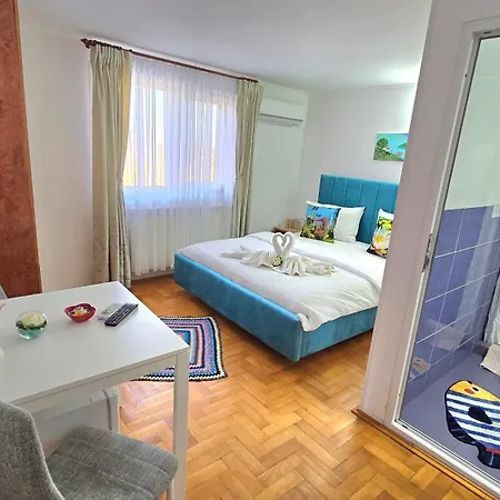 Casa cu Trandafiri Murighiol-3