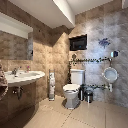 Vila Ema Râşnov-2