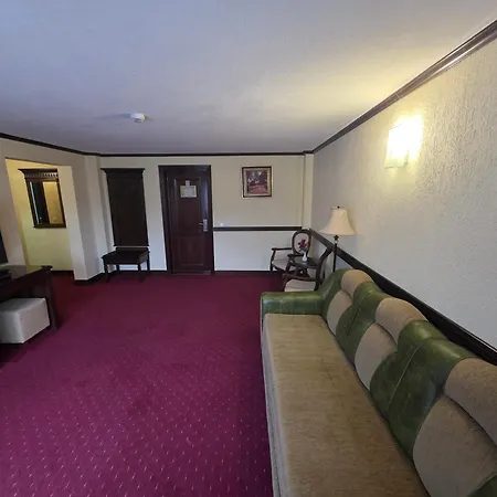 Hotel Trei Brazi-3