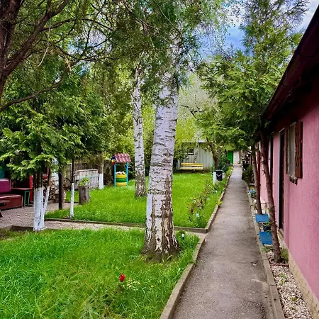 Camping Paradisul Soferilor-2