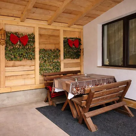Casa Dana Olteanu-3