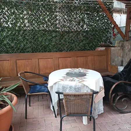Casa Puiu-3