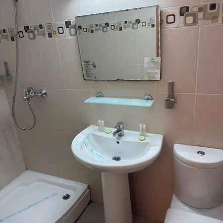 Hotel Mures-3